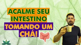 Um CHÁ para acalmar seu INTESTINO