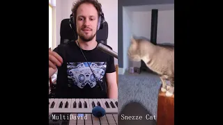 MultiDavid X Sneeze Cat / Live Looping / Cat song Remix