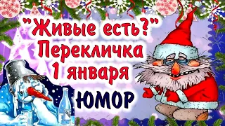 Аууууу.... С Наступившим Новым годом! Юмор, позитив! Доброе утро 1 января!