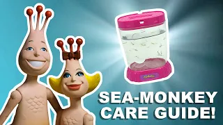 How to Keep Your Sea Monkeys Alive | Top 5 Tips!