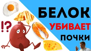 Безуглеводная диета и БЕЛОК УБИВАЕТ почки? Карнивор, Палео, Кето диета - сколько белка нужно в день?