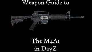 DayZ Standalone - Weapon Guide - M4A1
