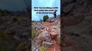 Hiking on Horseshoe Mesa via the Grandview Trail in Grand Canyon National Park! #short #shorts