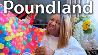 HUGE POUNDLAND HAUL | SPRING 2024