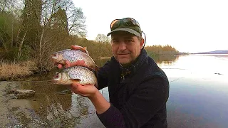 Fishing Big Waters for Big Roach - Slider Float and Feeder Fishing in Scotland UK