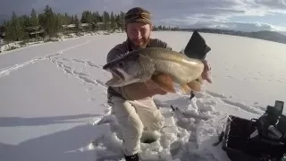 Ice Fishing Lake Trout, Montana 2016