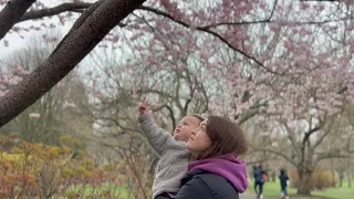 EPISODE 4: PASTA LOUISE + BROOKLYN BOTANIC GARDEN