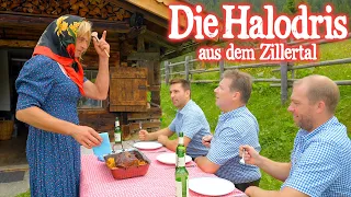 DIE HALODRIS AUS DEM ZILLERTAL - Alte koch ma an Schweinsbraten