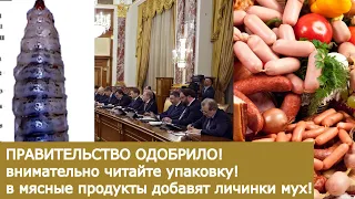 Внимательно читайте упаковку!  Личинки мух в России официально теперь – еда. Решение Кабмина РФ
