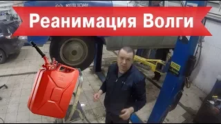 Волга Газ 24. Реанимация после 36 лет консервации.