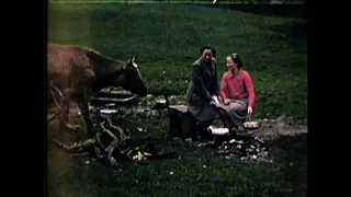 Dovedale, 1941, filmed by Fred Pedley