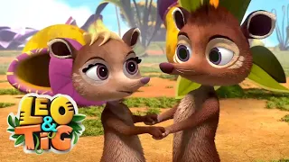 Leo and Tig 🦁 The Royal Aroma - Episode 34 🐯 Funny Family Good Animated Cartoon for Kids