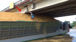 The ending was stuck because it was too high / the rice husk boat under the bridge was low