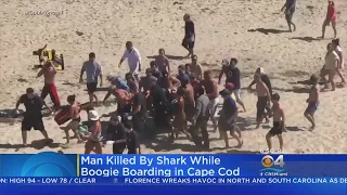 Man Killed In Shark Attack Off Cape Cod