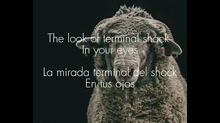 Pink Floyd ANIMALS -Sheep- sub español e inglés
