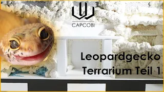 Leopardgecko Terrarium bauen Part 1 |  CapCobi