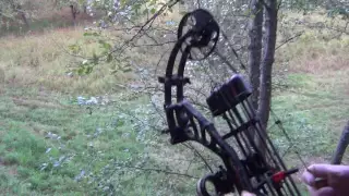 Bowhunting Big BlackBears - Stuck N the Rut 72