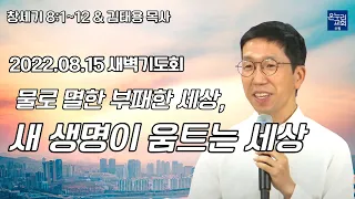 [새벽기도회] 물로 멸한 부패한 세상, 새 생명이 움트는 세상 (창세기 8 : 1~12) | 김태용 목사 | 2022.08.15 (월)