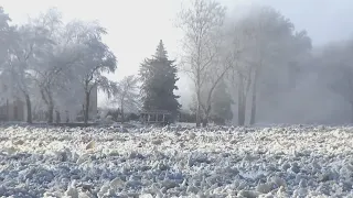 Ice jam on Kankakee River causes flooding 50 miles southwest of Chicago