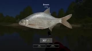 Russian Fishing 4 Beginner's Guide to RF4 Vol 7 Level 11 Winding Rivulet The Slow Session