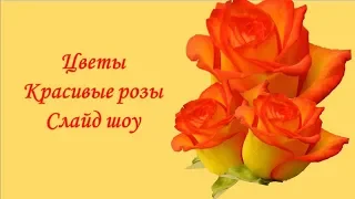 #Цветы|Красивые #розы|Слайд шоу