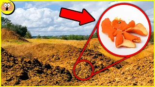 They Threw 12,000 Tons of Orange Peels in a Jungle. 16 Years Later, They Saw the Shocking Results