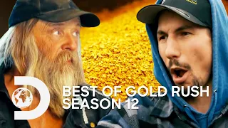 The Very BEST Moments From Season 12! | Gold Rush