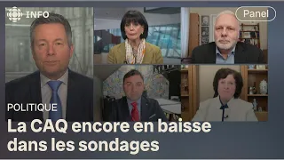 Sondage : la CAQ peut-elle remonter la pente? | Mordus de politique