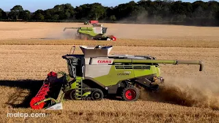 4k Harvest 2022: Two Claas Lexion 780 TT with 1380 vario cutting spring barley in Blythburgh Suffolk