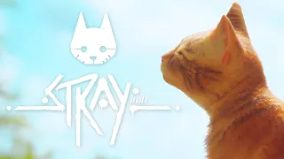 ФИНАЛ ► Stray На 100% #12