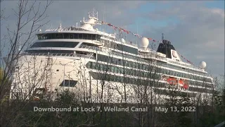 Cruise ship VIKING OCTANTIS Lowered at Lock 7, Welland Canal, 2022