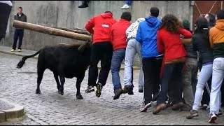 Aldeia do Bispo Portugal Garraiada Carnaval 2014 www ArteTaurino es TOROS