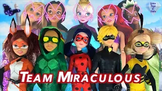 Ladybug Team Miraculous Date Cat Noir Queen Bee Rena Rouge Carapace Mayura Doll Season 2 Episode