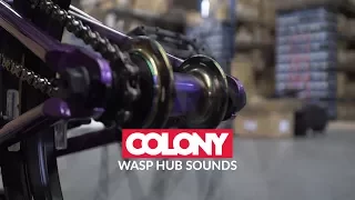 What a Colony Wasp Hub sounds like....