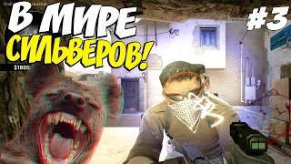 В МИРЕ СИЛЬВЕРОВ #3 | CS:GO