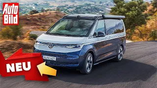 VW T7 California Concept (2023) | Camper-Traum: So kommt der VW T7 California | Dennis Petermann