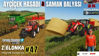 FS 22 AYÇİÇEK HASADI & AYÇİÇEK YAĞI ÜRETİMİ & SAMAN BALYASI map: ZİELONKA part: #47# İŞÇİ#COURSPLAY