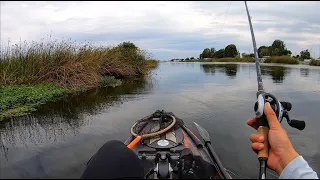 Vicious August Frog Bites on the California Delta