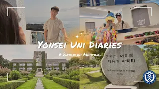 Princeton in Korea! Summer Study Abroad at Yonsei University (uni diaries ep: 06)
