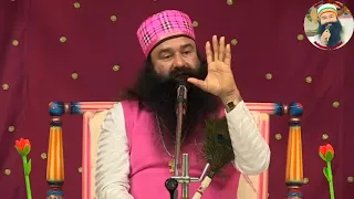 Sirsa | 2 May 2024  |saint Dr msg insaan | dera Sacha Sauda | dera saccha sauda punjabi satsang