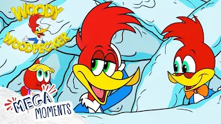 Woody conducts a Science Experiment 🧪 | Woody Woodpecker | Compilation | Mega Moments