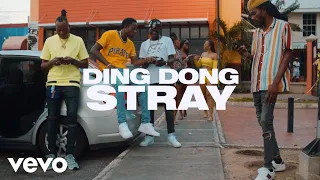 DING DONG - STRAY [OFFICIAL VIDEO]