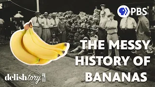 How Did the Banana Become the World’s Most Popular Fruit? | Delishtory