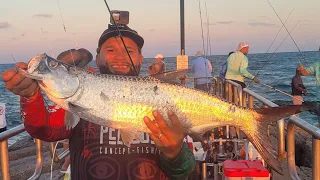 Texas Tarpon Blitz! *Packery Channel Jetties* Insane Tarpon Bite, on Light Action (CorpusChristiTX)