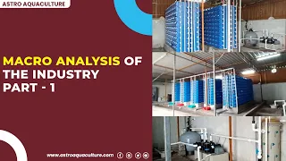 Macro analysis of the industry part 1