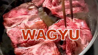 MANGIO SUKIYAKI di WAGYU carne giapponese con SHIRATAKI #2
