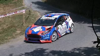 Clip Personalizzata Riccio - Menchini Ford Fiesta R5 11° Rally di Alba 2017