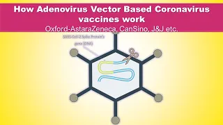 How Oxford-AstraZeneca's COVID-19 vaccine work - Adenovirus vector vaccine mechanism of action