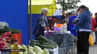 Льготный кредит могут взять владельцы личных подсобных хозяйств