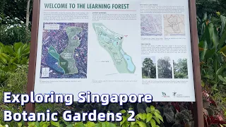 Exploring Singapore Botanic Gardens ~ The Learning Forest